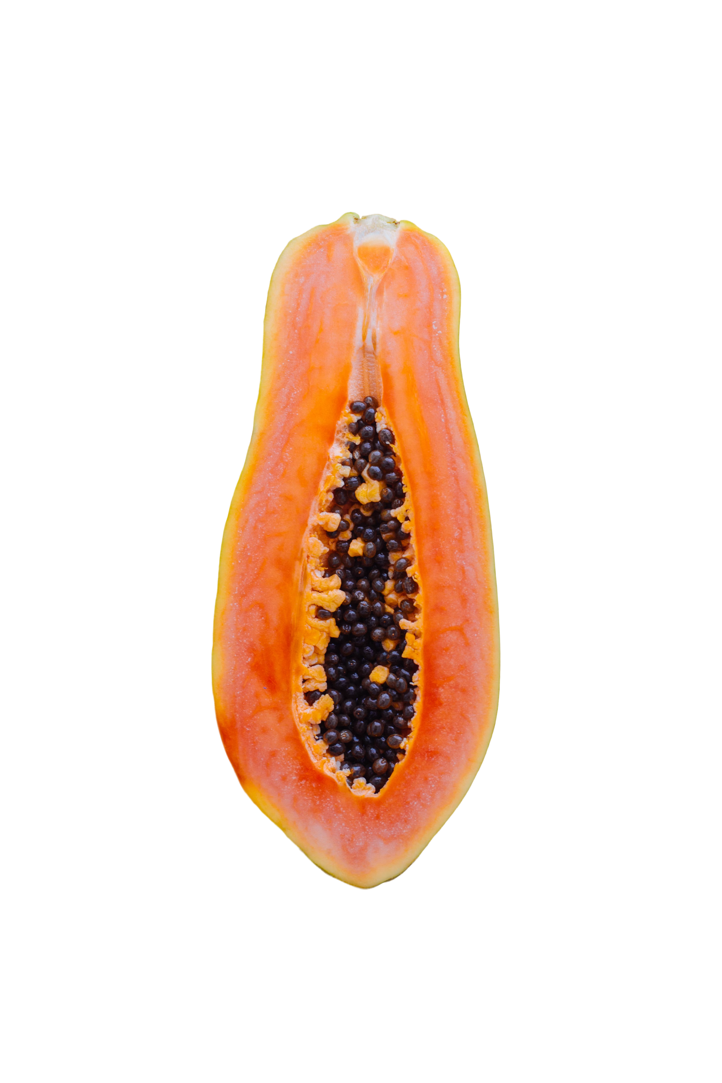 Papaya