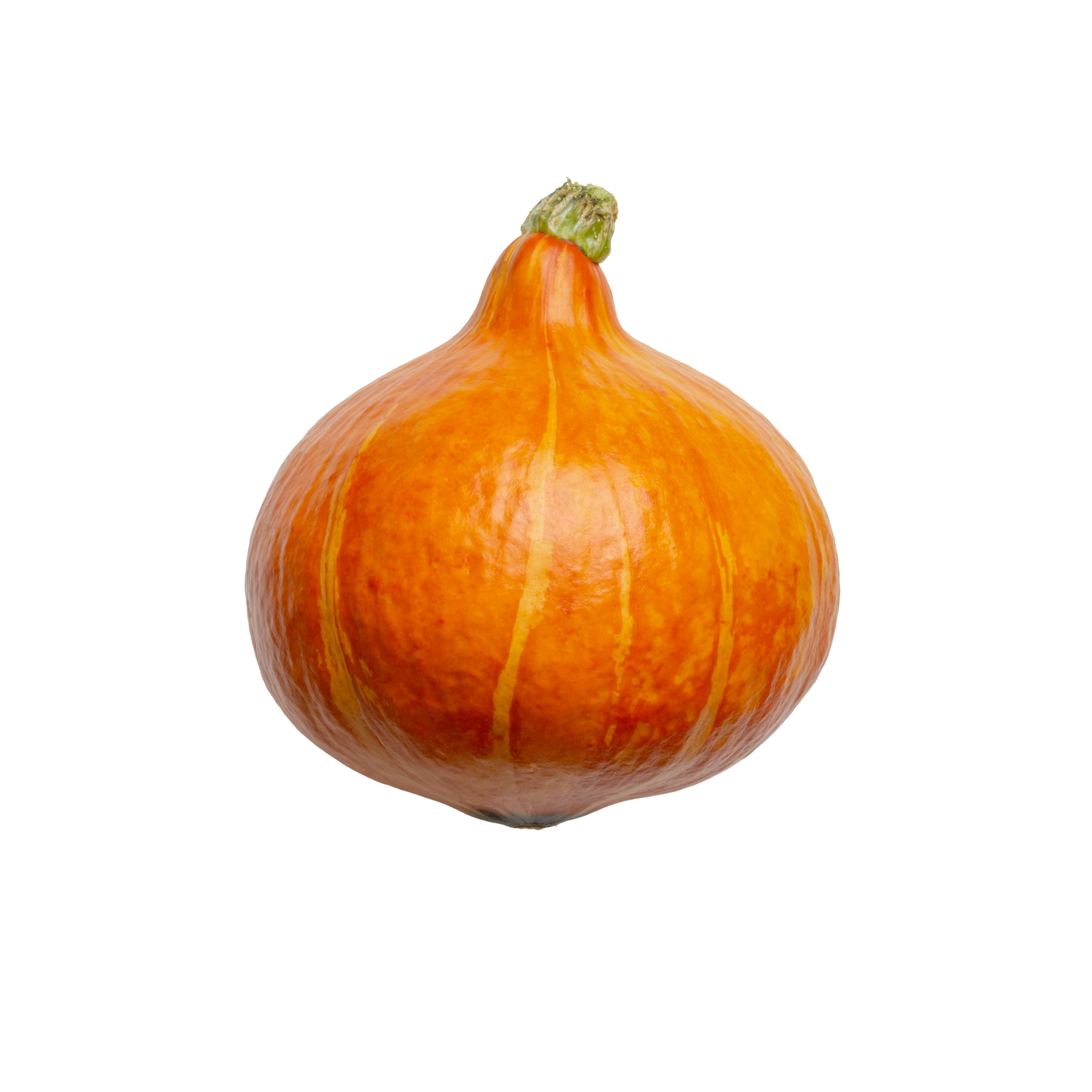Pumpkin
